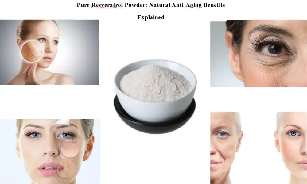 Pure Resveratrol Powder: Natural Anti-Aging Benefits Explained